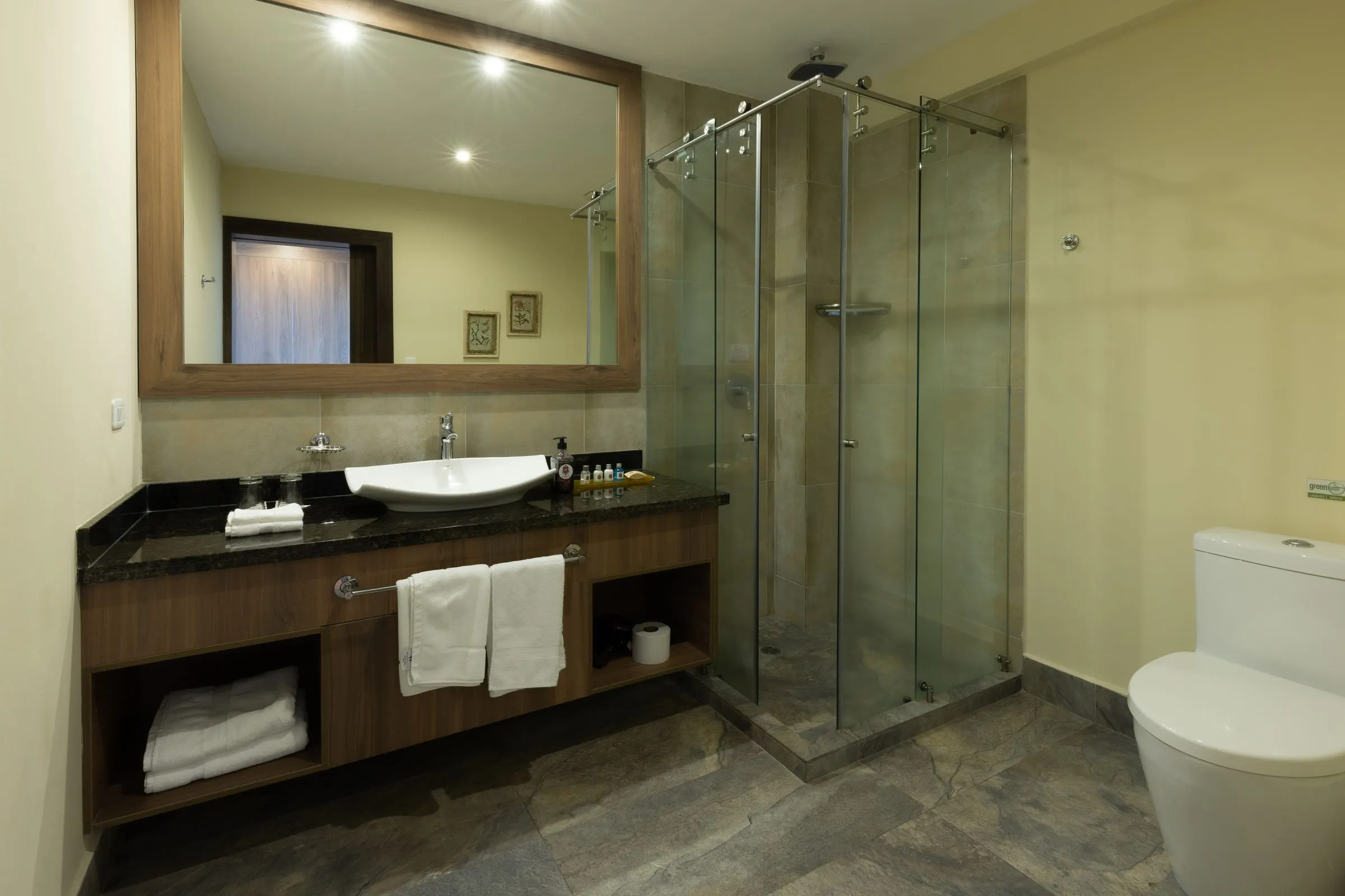Bathroom of the Double Room with a stone washbasin and glass shower