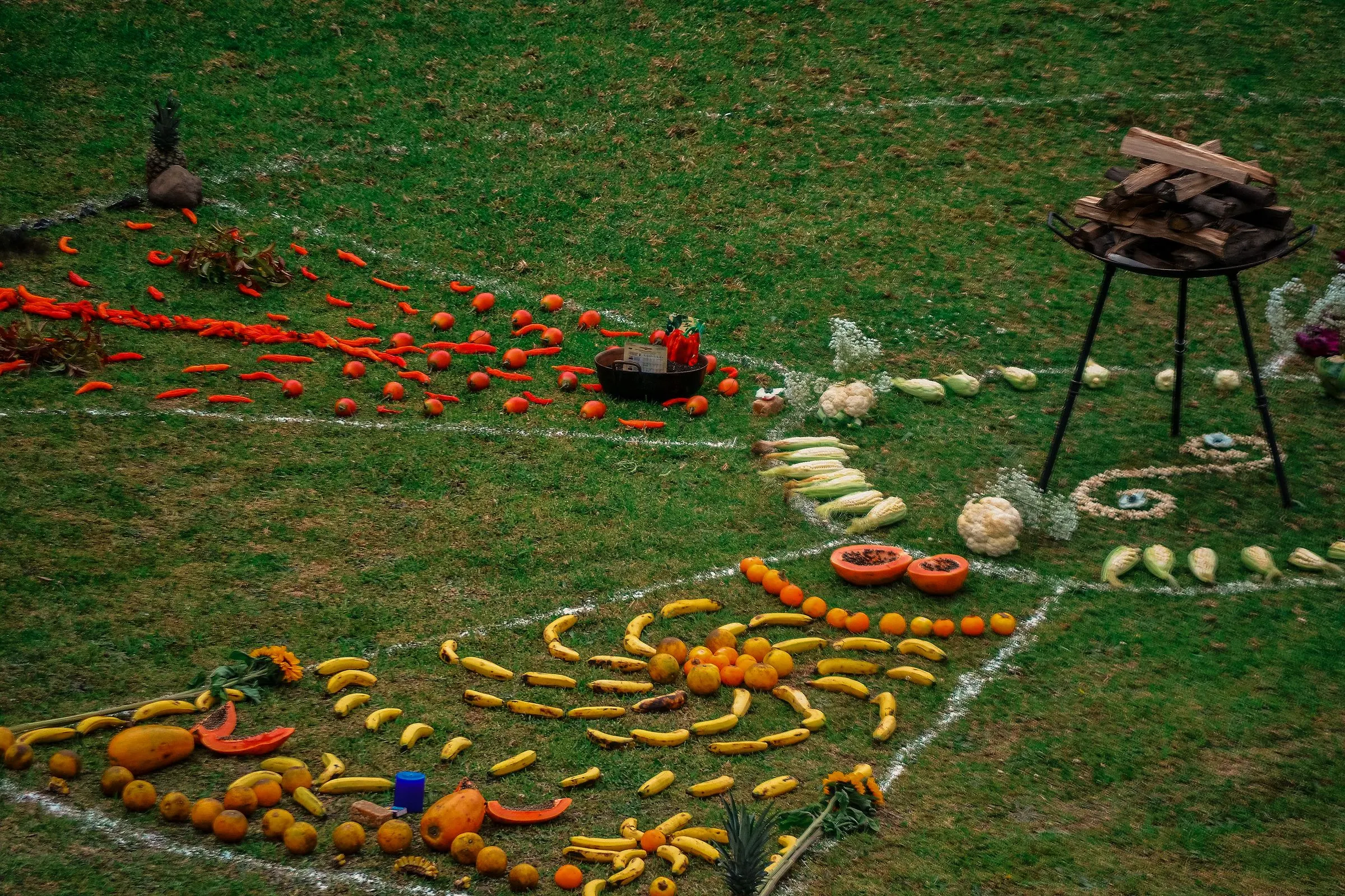 Auf dem Gras gedeckte Pampamesa: Körner, Blumen und Glut zum Teilen